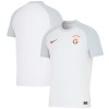 Oficiální Fotbalový Dres Galatasaray SK Hostující 2023-24 pro Muži